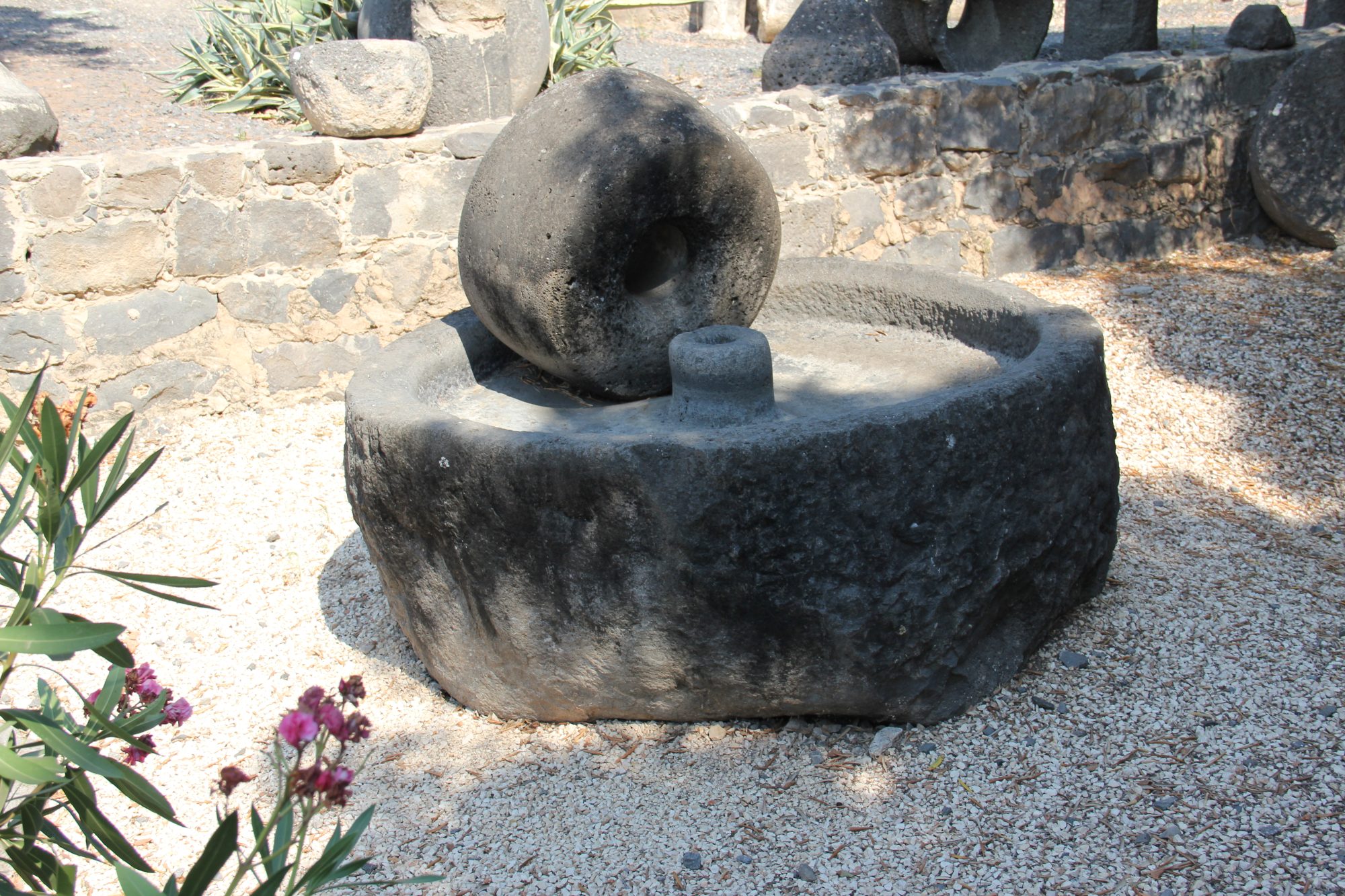 Capharnaum 9